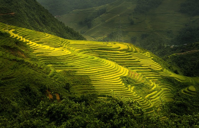 Sapa tour- Option 3 days 4 nights – stay at Royal View Sapa hotel