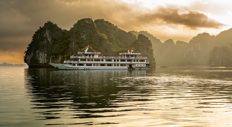 Swan cruise 