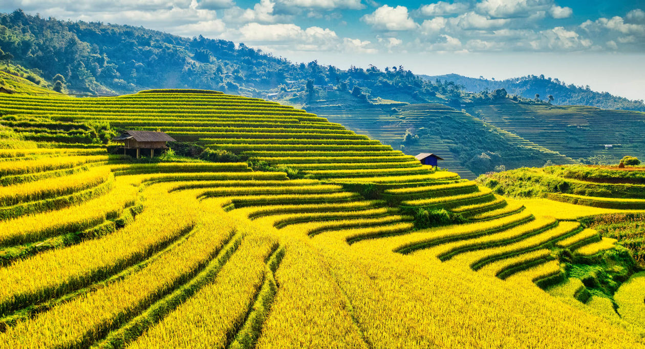 The North of Vietnam 7 days 6 nights